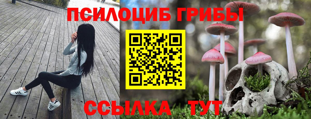 Галлюциногенные грибы прущие грибы Юрга